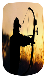 DAROYAL 309 Gone Hunting (Bow)